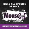 MouseX Throw Packs- for All Species of Rats Mice Safe