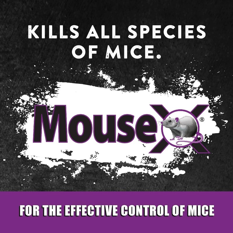 MouseX Throw Packs- for All Species of Rats Mice Safe