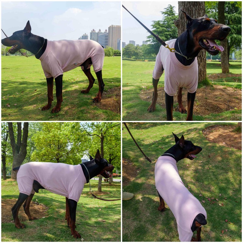 Lovelonglong Ribbed Dog Pajamas Cotton Knitted Dog Jumpsuits 4 Legged