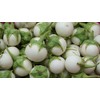 Thai White Eggplant Seeds/ Cà pháo trắng trái nhỏ, Asian