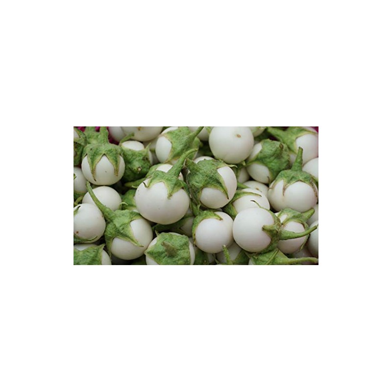Thai White Eggplant Seeds/ Cà pháo trắng trái nhỏ, Asian