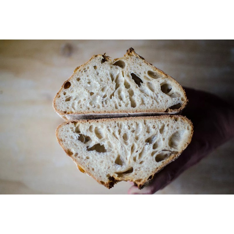 SAN FRANCISCO WHARF SOURDOUGH sourdough starter yeast from the "WHARF"