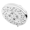 Pfister 015-WS2-THCC ThermoForce Shower Head with Power Spray and Heat