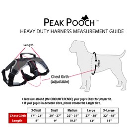 Dog Walking Lifting Carry Harness, Support Mesh Padded Vest, Accessory, Collar, Lightweight, No More Pulling, Tugging or Choking, for Puppies, Small Dogs (Sizes: X-Small, Small, Medium & Large)