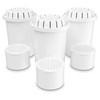 Invigorated Water 3-Pack Alkaline Water Fluoride Filter with Extra 3-Pack