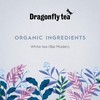 Dragonfly Swirling Mist Tea | Pack of 4 x 20