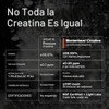 Awiaubmomentous Creatine, Creapure Performance Creatine Monohydrate Powder