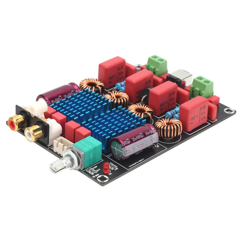 Digital Power Amp Board Deluxe Dual Chip 2x100W Amplifier PCB