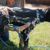 Pet Shower Attachment Ergonomic Prevent Slipping Silicone Pet Shower Sprayer