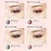 Visee Riche Double Veil Eyes Eye Shadow RD-6 Beige Red