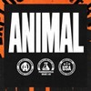 ANIMAL Primal Pre Workout Strawberry Watermelon – Training Booster with