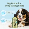 Pawfume Dog Shampoo and Conditioner – Hypoallergenic Dog Shampoo for