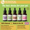 Petastical Mullein Complex for Dogs Cats Pets, 100% Natural Respiratory
