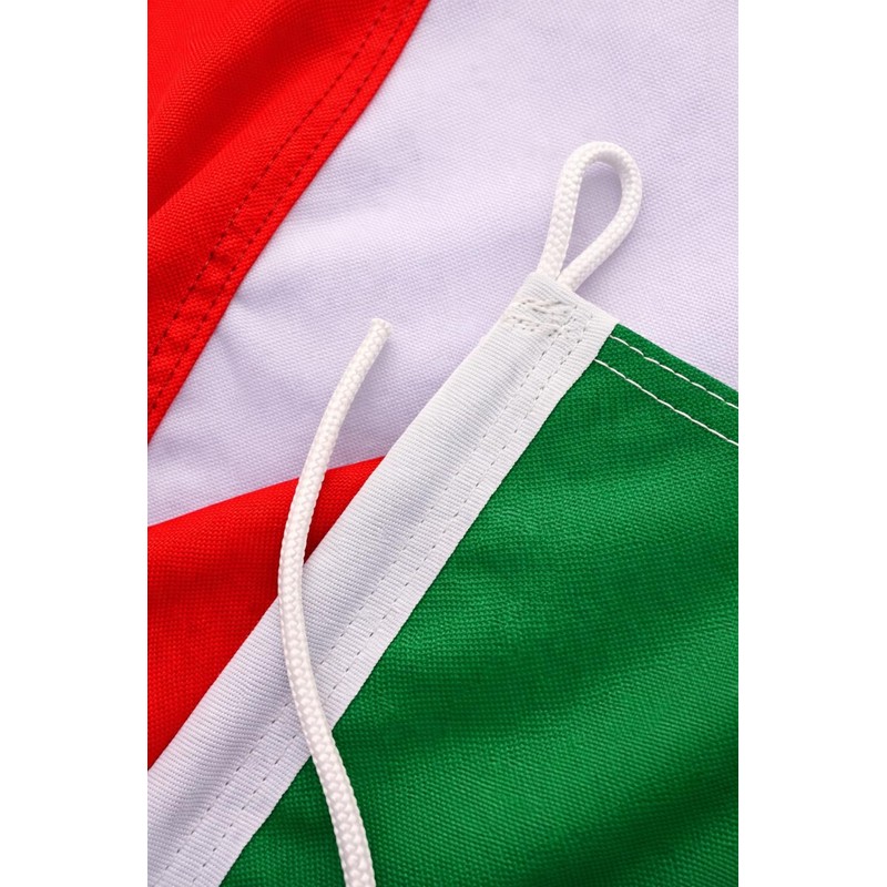 FLAGLY Premium Boat Flag Italy 30 x 20 cm -