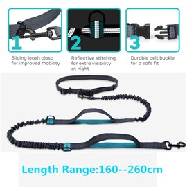 YL TRD Correa para Perros sin Manos con cinturón Ajustable, diseño de Doble Bungee - Perfecto para Correr, Trotar, Caminar (Verde)