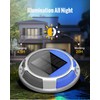 Solar Driveway Lights Dock Lights Waterproof 4 Pack, 2 Colors