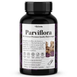 Earthville Fabiflora Black Ginger 10x Concentrated Extract 500mg 120 Veg Capsules 2 Bottles / 어스빌 파비플로라 흑생강 블랙진저 10배농축 추출물 500mg 120베지캡슐 2병