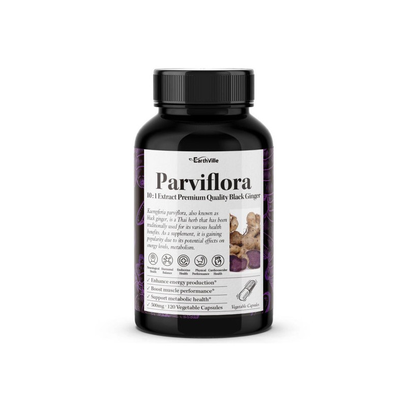 Earthville Fabiflora Black Ginger 10x Concentrated Extract 500mg 120 Veg