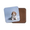 Cute Dog Beagle Puppy Coaster #12486