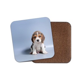 Cute Dog Beagle Puppy Coaster #12486