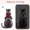 Monsully Cat Harness with Lead, Cat Lead with Harness for