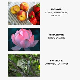 Zone Scent Bombei Essential Oil for Diffusers - Premium Aromatherapy Oils Set for Home and Hotel, Scented Oil Diffuser for Relaxation, Eco-Friendly, Safe for Family & Pets, Pura Diffuser Refill 100ml