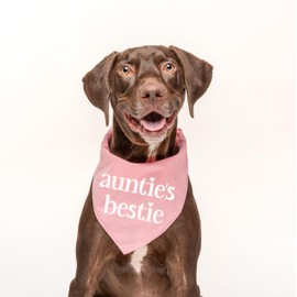 Auntie's Bestie Aunt, Valentine's Day, Mother's Day Dog Bandana (Purple, OS 401)
