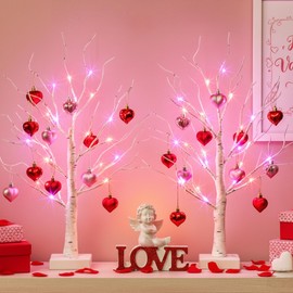 Valentines Day Decorations Birch Tree with Heart-Shaped Ornaments, Lighted Artificial Tree with 24 LED Pink&Red Lights, Light Up Tabletop Trees USB&Battery Operated for Home Indoor Table (2Pack 2Ft)