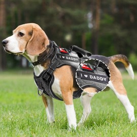 16 Pieces Dog Vest Harness Patches, 4.3”×1.2” Removable Service Dog Patches, Funny Patches for Training Working, Printed Tactical Patches with Hook Backing for Vests and Harness