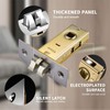 35mm Mute Tubular Mortice Latch with Stainless Steel Faceplate for