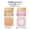 Coffredor 3D Trans Eye Base 02 Eyeshadow, 0.1 oz (3.3