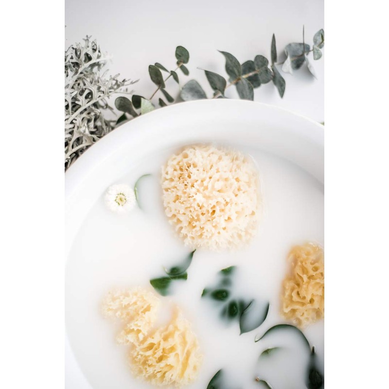 Kyte BABY Natural Sea Sponge, 4 to 5 Inches