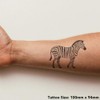 'Zebra' Temporary Tattoo - Water Resistant, Skin-Safe, Non-Toxic Transfer (TO00066647)