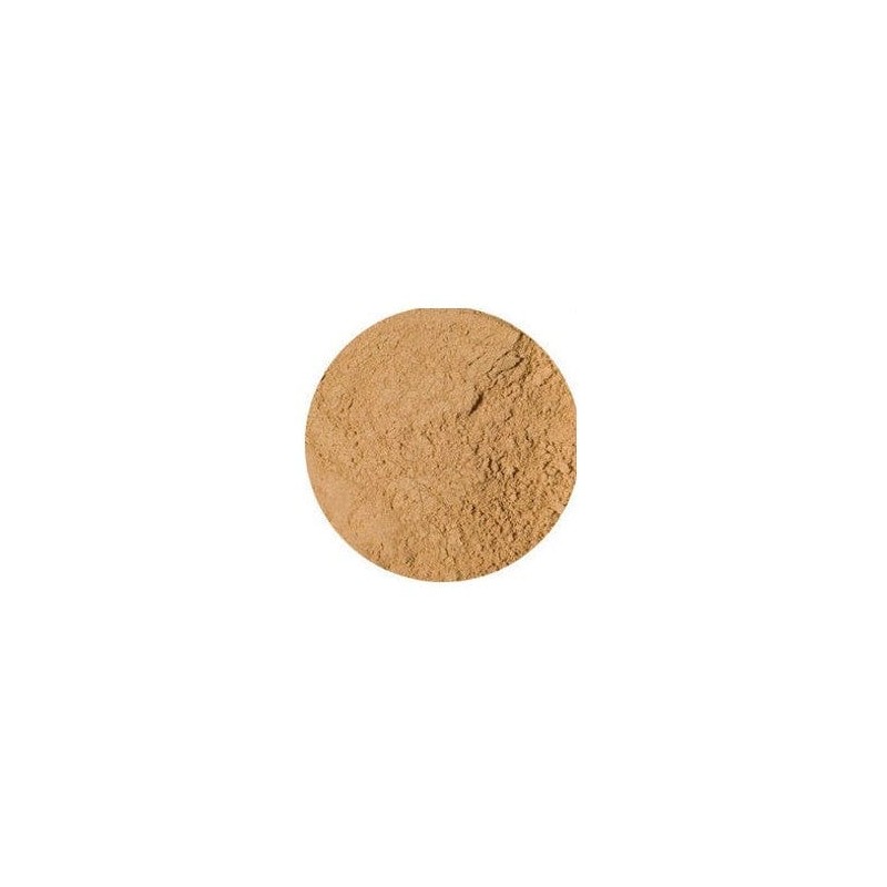 Eco minerals foundation 5g REFILL sachet - perfection neutral sand