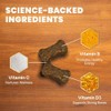 VetriScience Laboratories Canine Plus Multivitamin