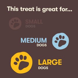 Pet 'n Shape Beef Bone Treat - Made & Sourced in The USA - Natural Dog Chewz, Large, 2 Count