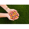Nerds Big Chewy Candy, 6 Ounce, Pack of 12