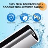 PurePlus 2 Pack Home Business Chlorine Free Drinking Water Filter