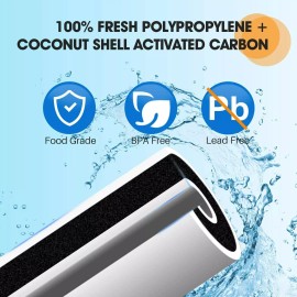 PurePlus 2 Pack Home Business Chlorine Free Drinking Water Filter Replacement Cartridges