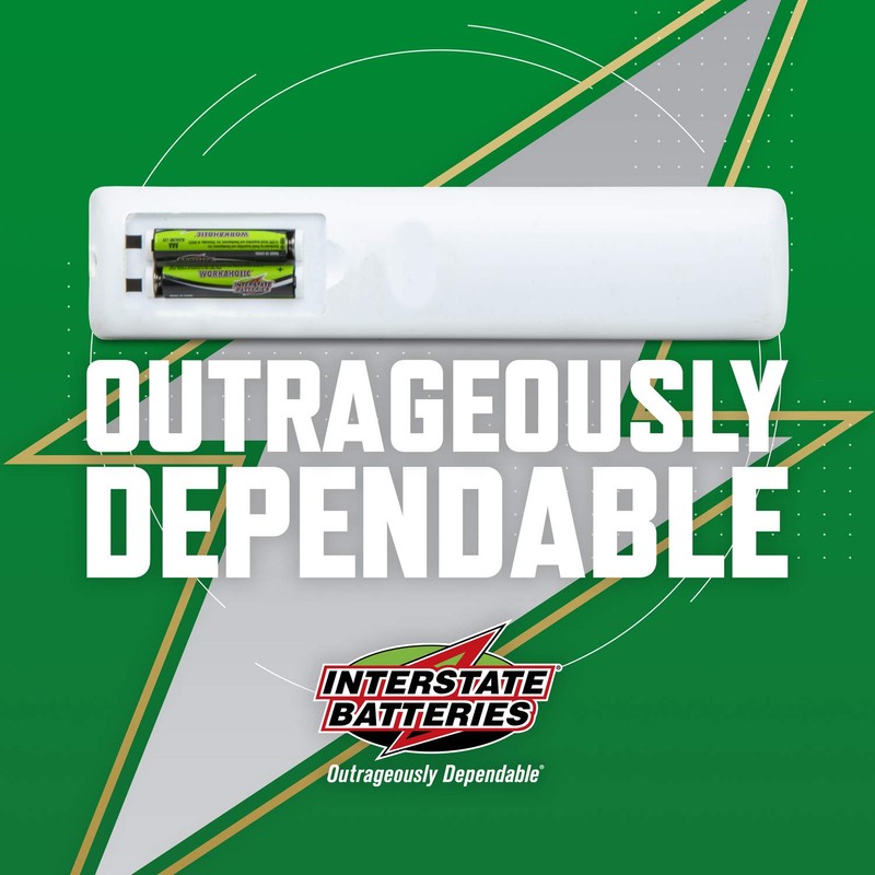 Interstate Batteries AAA Alkaline Battery (48 Pack) All-Purpose 1.5V High