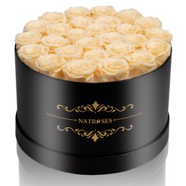 NATROSES 27 Piece Forever Preserved Roses in a Box, Preserved Flowers for Delivery Birthday, for Mom, Buttermilk