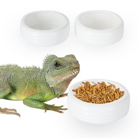 Reptile Food Bowls Ceramic Round Reptile Water Food Dish, Pet Food Bowl for Lizards, Small Snakes, Young Bearded Dragons, Gecko Tortoise Spider (White, Large-2Pack)