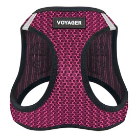 Voyager Step-in Air Dog Harness - All Weather Mesh, Reflective, No Pull Harness for Small, Medium Dogs, Cats - Secure with Hook & Loop Fastener, Buckle, Double D-Rings - Fuchsia 2-Tone, S