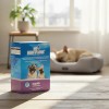 Holland Gi Restore Probioticos, Con Glutamina Perro 120gr