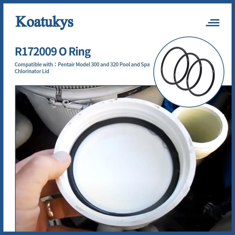 Koatukys 3 PCS R172009 O-283 O-Ring Replacement Compatible with Pentair