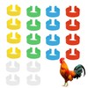 20Pcs Chicken Leg Rings Reusable Chicken Identification Leg Bands Multicoloured