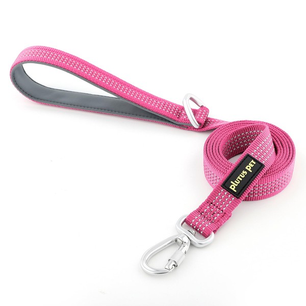Plutus Pet Heavy Duty Dog Leash with Lockable Aluminum Carabiner,