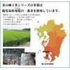Genmaicha Powder, Patent Manufacturing Method, Oleic Acid 3.9 Times, Tea