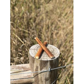 Bullysticks Organic 6" Free RANG Bully Stick Dog Treat (10 Pack) (Beef)