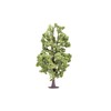 Hornby R7223 Lime Tree Scenic Materials, Multi